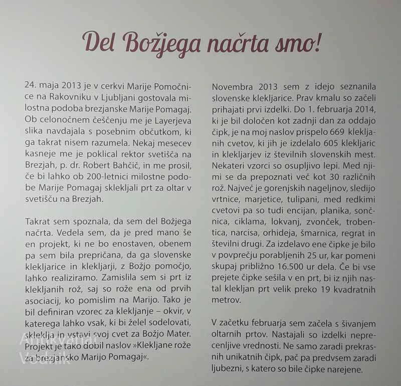 KLEKLJANE ROŽE ZA BREZJANSKO MARIJO POMAGAJ, več avtorjev