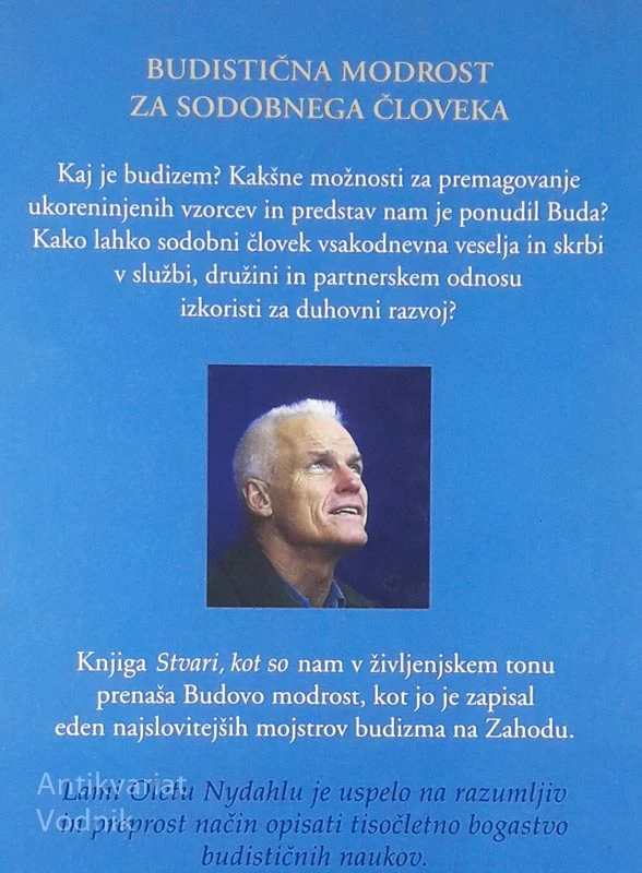 STVARI, KOT SO, Lama Ole Nydahl