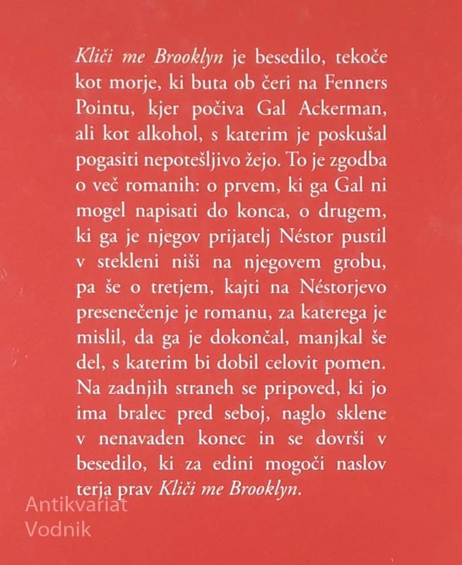 KLIČI ME BROOKLYN, Eduardo Lago