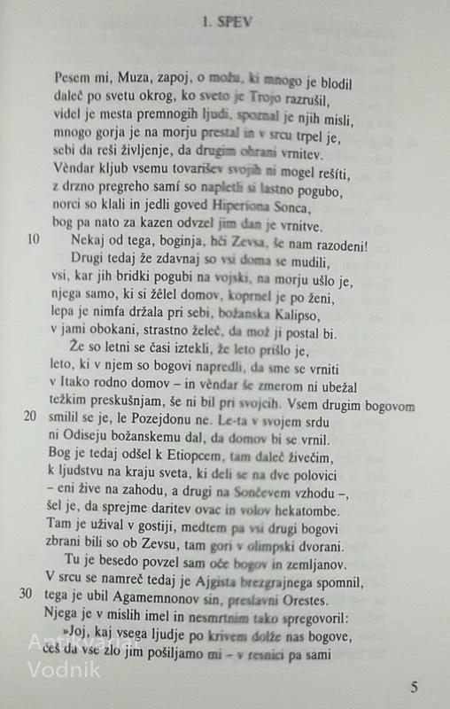 ODISEJA, Homer