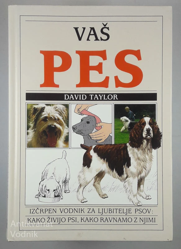 VAŠ PES, David Taylor