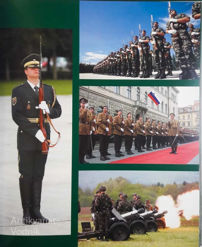 SLOVENSKA VOJSKA V SLUŽBI DOMOVINE, Tomaž Kladnik