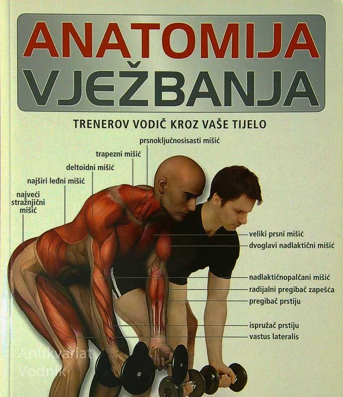 ANATOMIJA VJEŽBANJA, Pat Manocchia