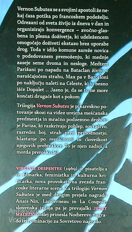 VERNON SUBUTEX, tretja knjiga, Virginie Despentes