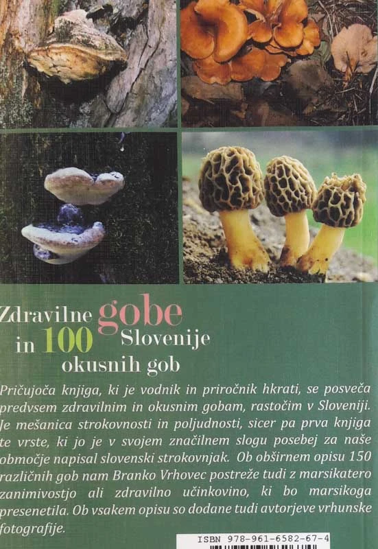 ZDRAVILNE GOBE IN 100 SLOVENIJE OKUSNIH GOB, Branko Vrhovec