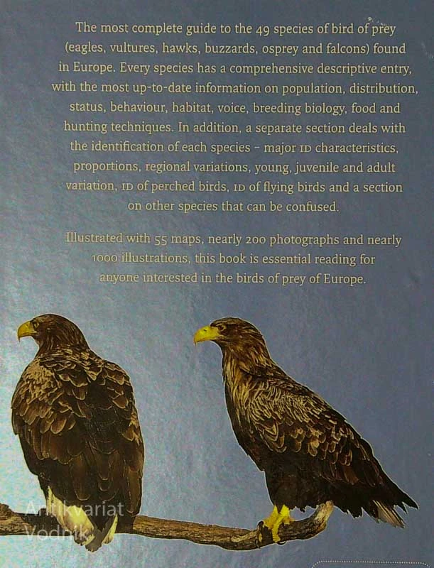 BIRDS OF PREY, Benny Génsbøl