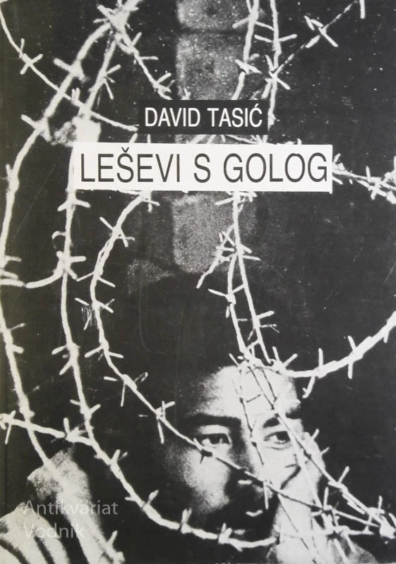 LEŠEVI S GOLOG, David Tasić