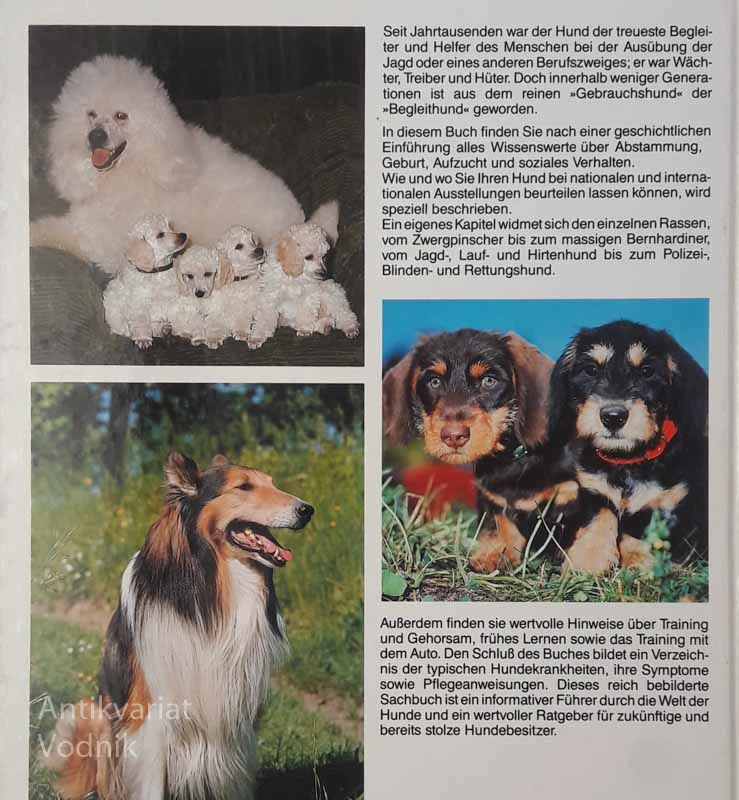 DAS GROSSE HUNDE BUCH