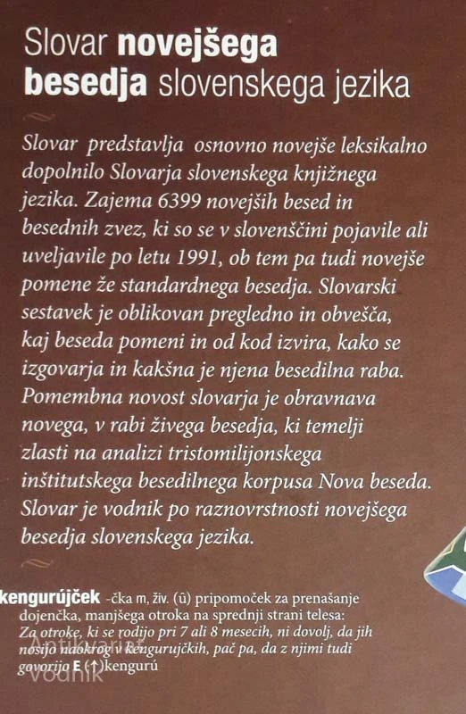 SLOVAR NOVEJŠEGA BESEDJA SLOVENSKEGA JEZIKA