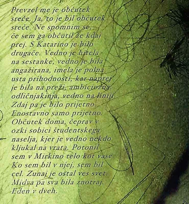 1980; ROMAN O NEKI MLADOSTI, Vinko Möderndorfer