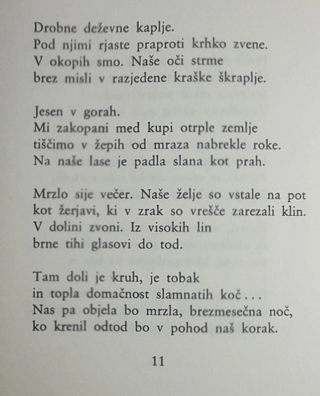 BOLEČINA NEDOŽIVETEGA, Ivan Minatti
