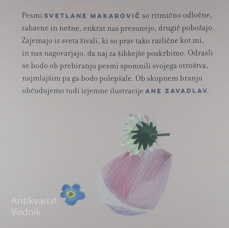 ČIČIDO, ČIČIDO, ČIČIDO, Svetlana Makarovič