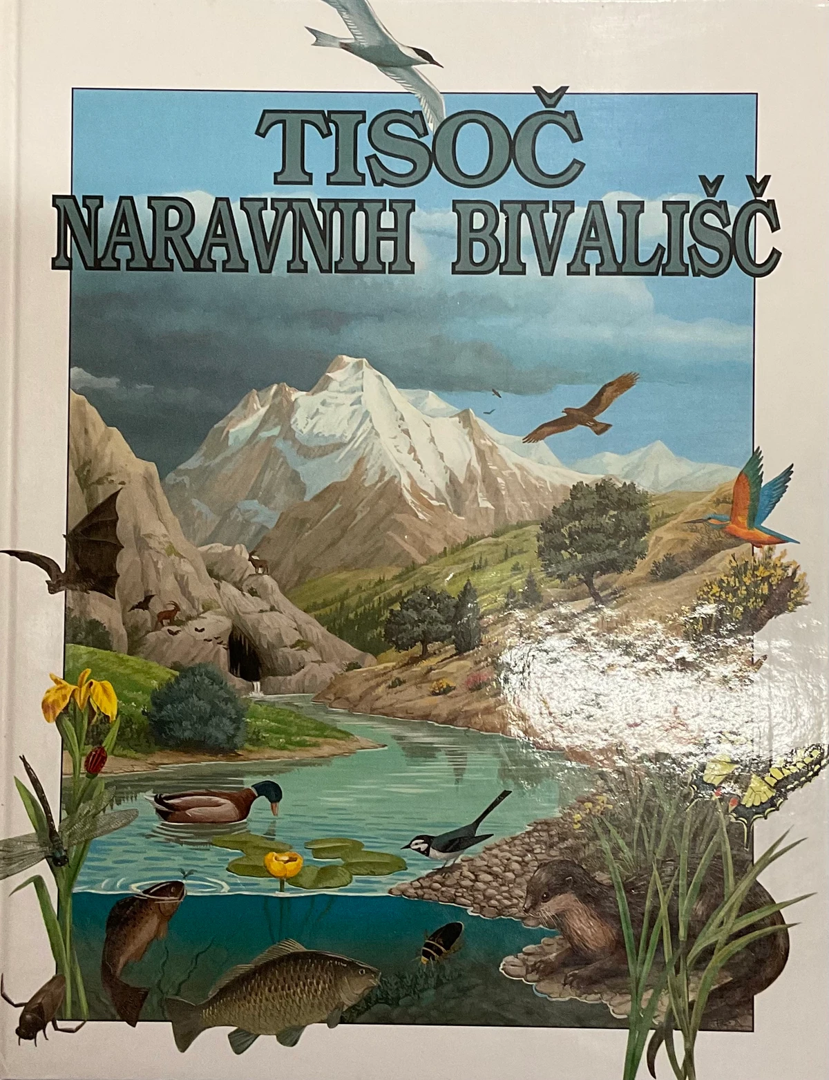 TISOČ NARAVNIH BIVALIŠČ