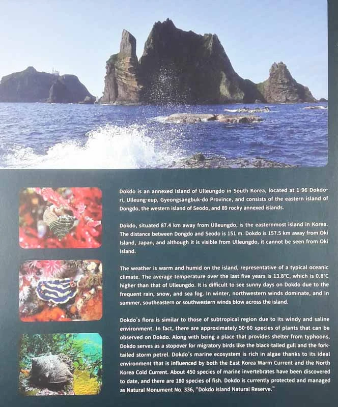 INVERTEBRATES; Dokdo Island, Mollusks
