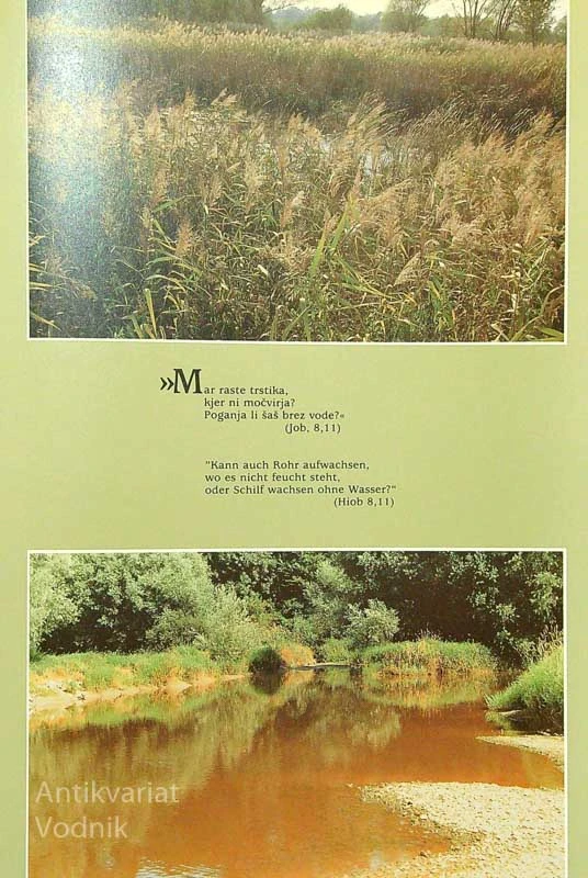 MURA; TUBI LAHKO LEBDELA DUŠA, več avtorjev