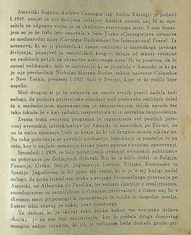 V SENCI NEBOTIČNIKOV, Pavel Brežnik