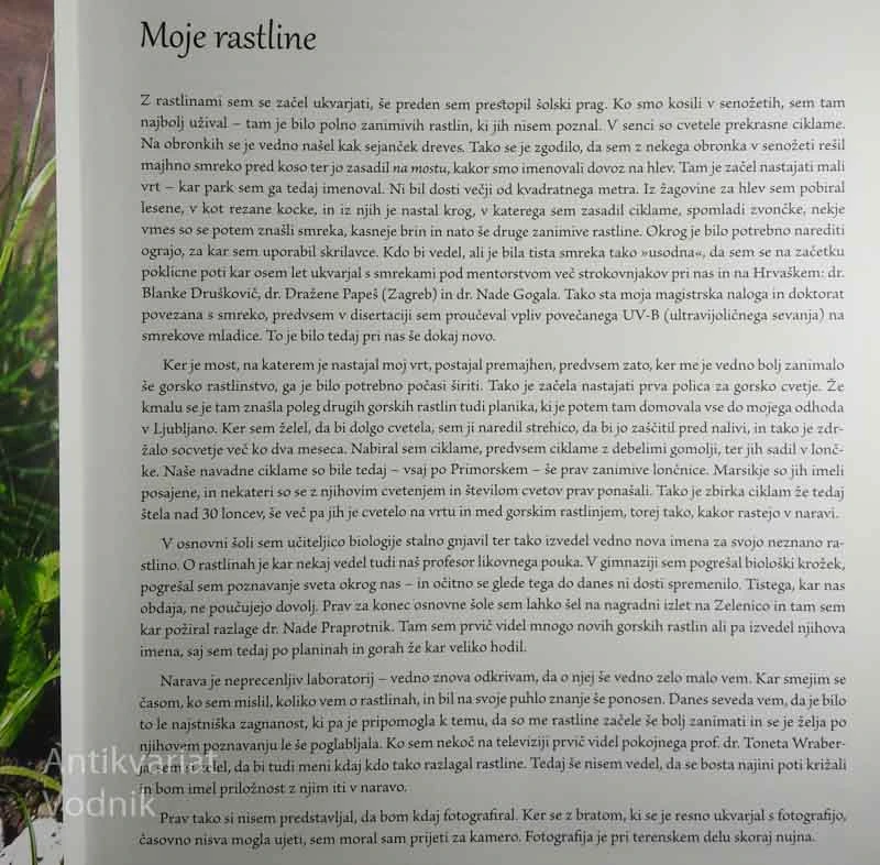 NAŠE RASTLINE, Jože Bavcon