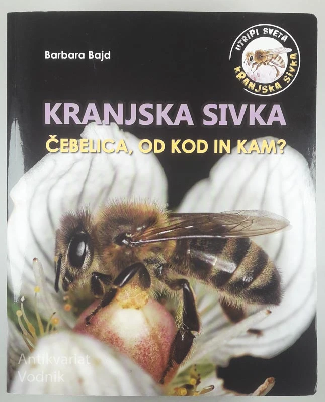 KRANJSKA SIVKA; ČEBELICA, OD KOD IN KAM?, Barbara Bajd