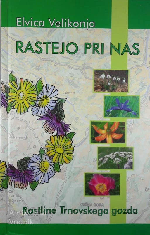 RASTEJO PRI NAS: RASTLINE TRNOVSKEGA GOZDA, Elvica Velikonja