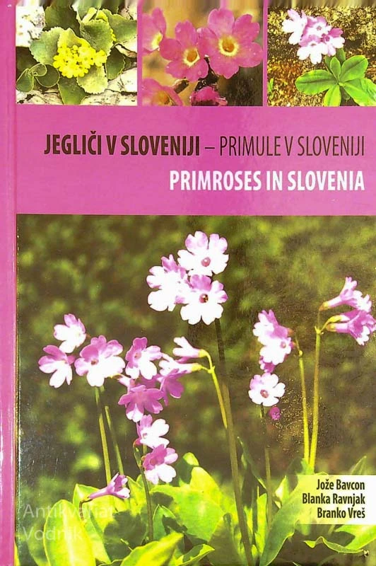 JEGLIČI V SLOVENIJI – PRIMULE V SLOVENIJI (PRIMROSES IN SLOVENIA), več avtorjev