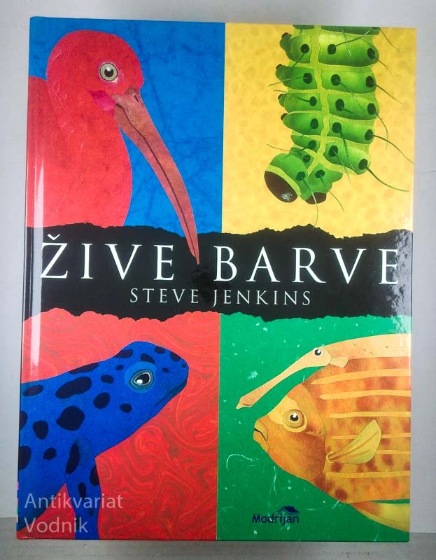 ŽIVE BARVE, Steve Jenkins