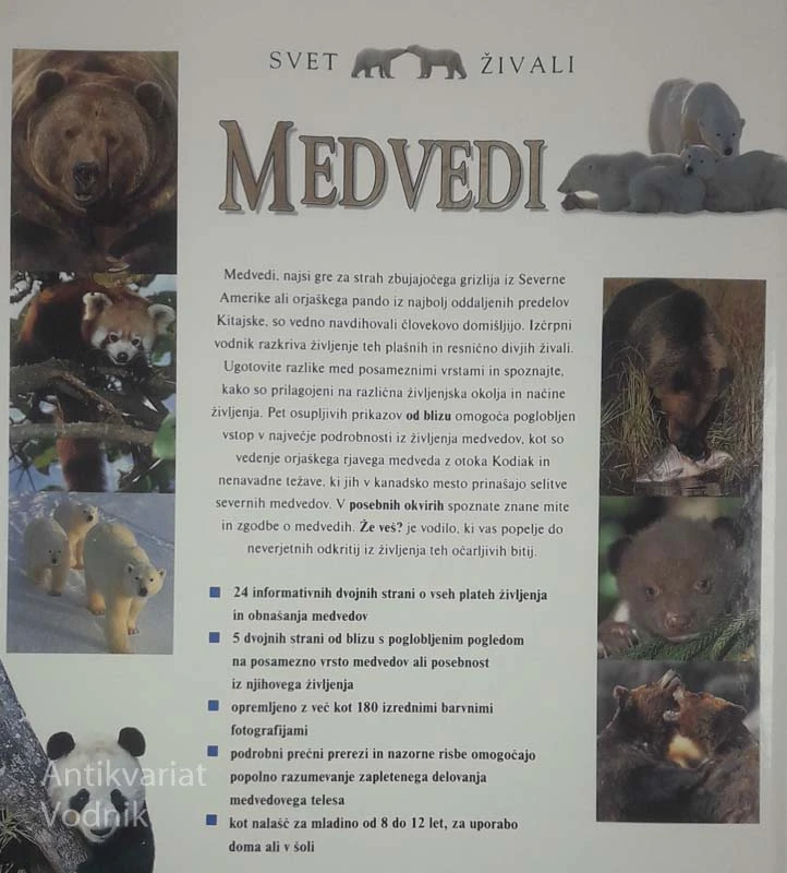 MEDVEDI, več avtorjev