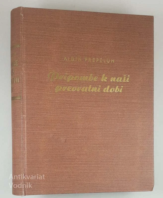 PRIPOMBE K NAŠI PREVRATNI DOBI, Albin Prepeluh