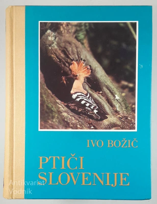 PTIČI SLOVENIJE, Ivo Božič
