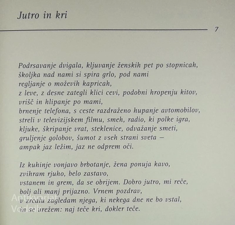 POMOL V SEVERNO MORJE, Miroslav Košuta