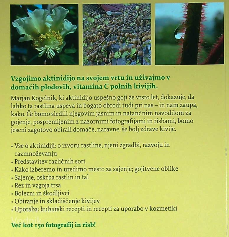 AKTINIDIJA – KIVI; NA NAŠEM VRTU, Marjan Kogelnik