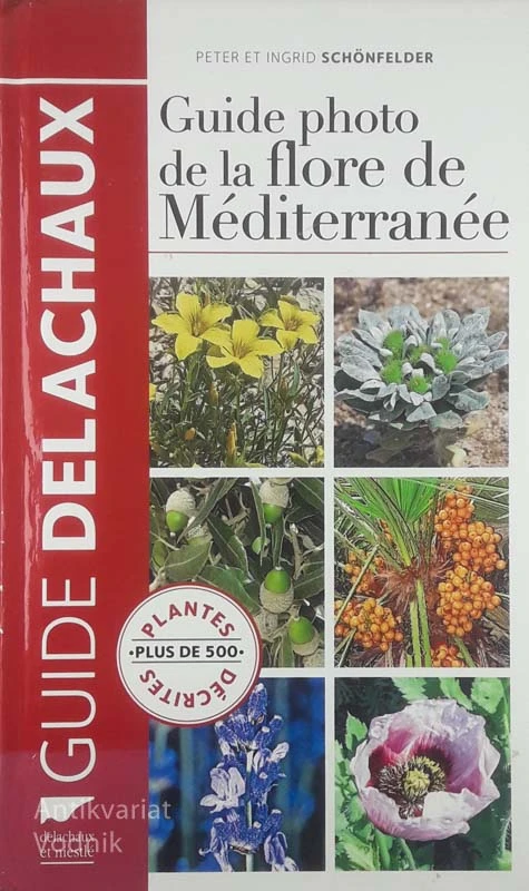 GUIDE PHOTO DE LA FLORE DE MEDITERRANEE, Peter In Ingrid Schonfelder