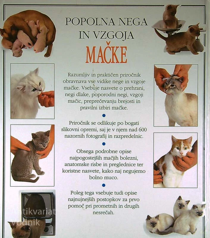 POPOLNA NEGA IN VZGOJA MAČKE, Andrew Edney, dr. vet. med.