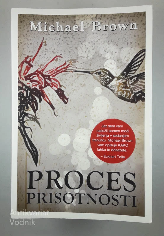 PROCES PRISOTNOSTI, Michael Brown