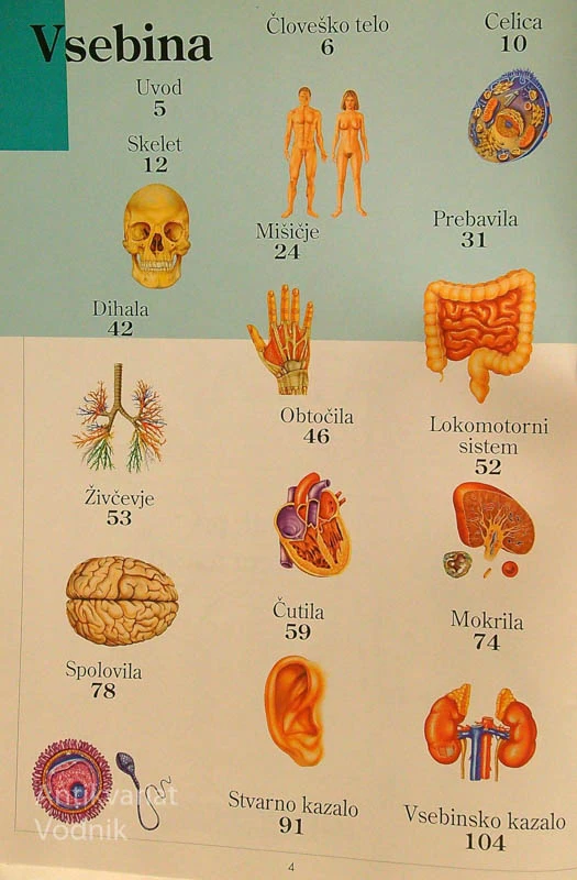 ANATOMSKI ATLAS IN ČLOVEŠKO TELO; VODNIK PO ČLOVEŠKEM TELESU