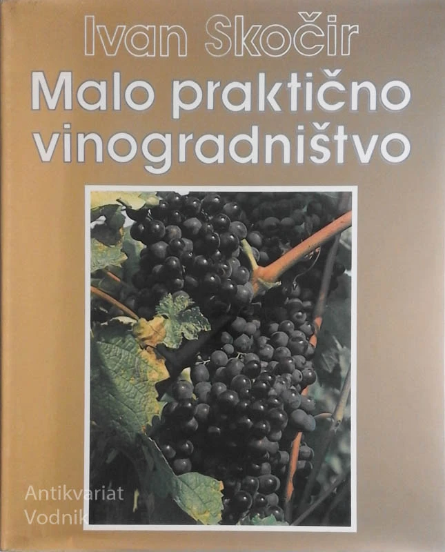 MALO PRAKTIČNO VINOGRADNIŠTVO, Ivan Skočir