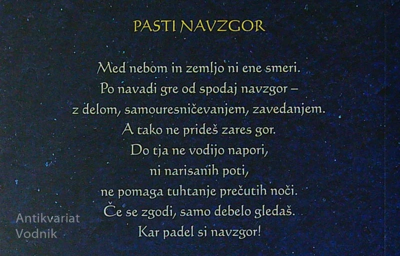 IZ NEBA DO DNA; NOVE SRČNICE, Manca Košir