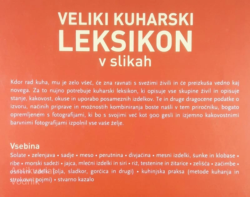 VELIKI KUHARSKI LEKSIKON V SLIKAH
