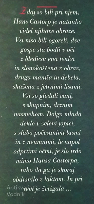 ČAROBNA GORA, 1. in 2. del, Thomas Mann