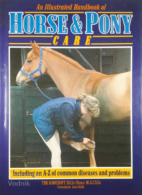 HORSE & PONY CARE