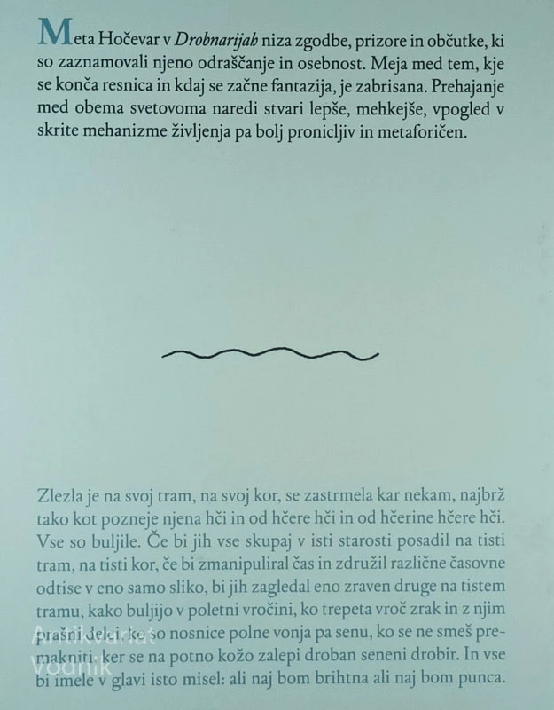DROBNARIJE, Meta Hočevar