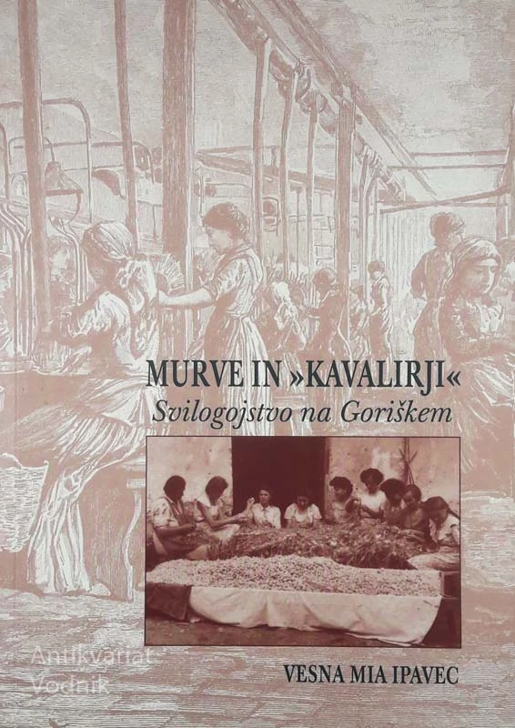 MURVE IN KAVALIRJI; Svilogojstvo na Goriškem, Vesna Mia Ipavec