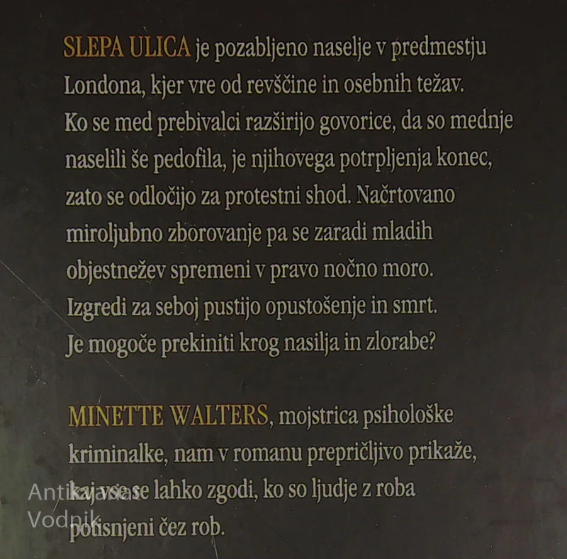 SLEPA ULICA, Minette Walters