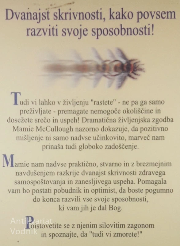 ČE ZMOREM JAZ, ZMOREŠ TUDI TI!, Mamie McCollough