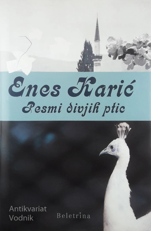 PESMI DIVJIH PTIC, Enes Karić