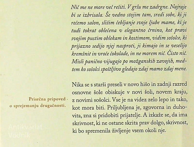 KIT NA PLAŽI, Vinko Moderndorfer