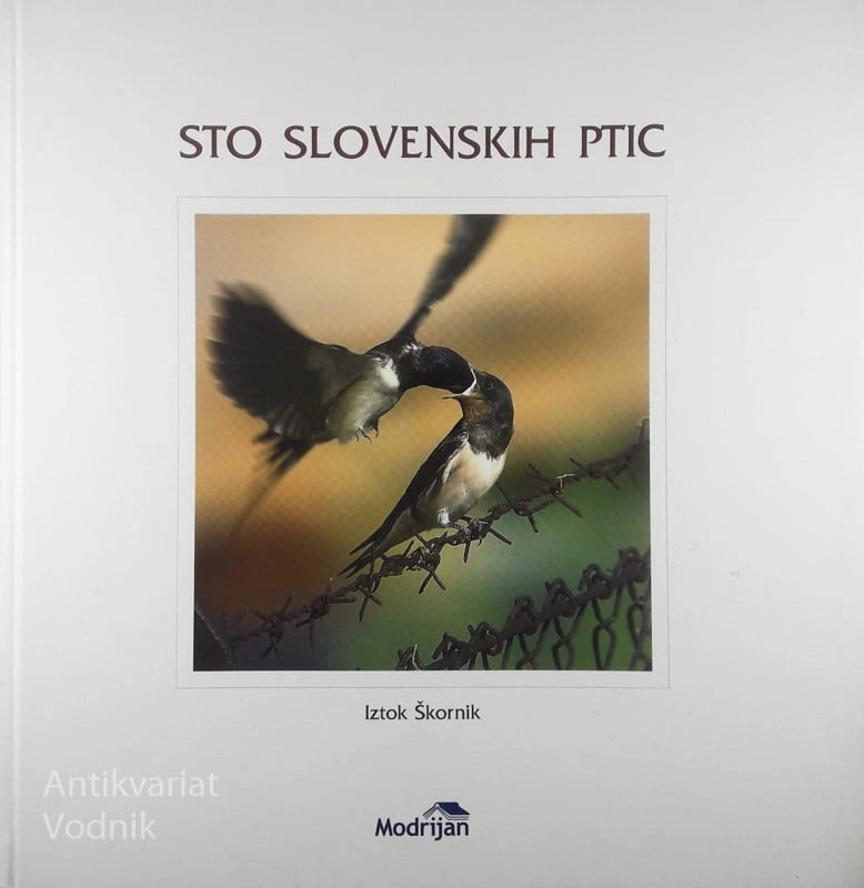 STO SLOVENSKIH PTIC, Iztok Škornik