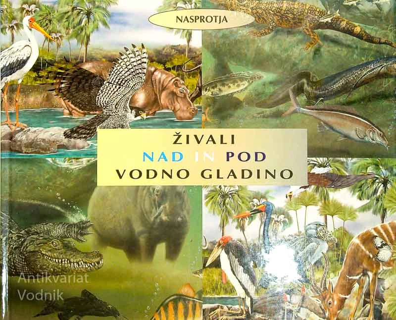 ŽIVALI NAD IN POD VODNO GLADINO