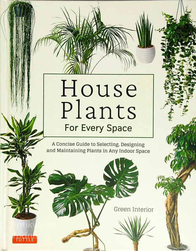 HOUSE PLANTS FOR EVERY SPACE, Mashita Etsuhiro in Sato Momoko