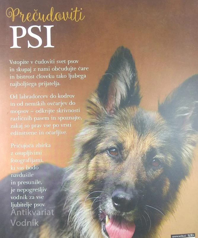 PREČUDOVITI PSI