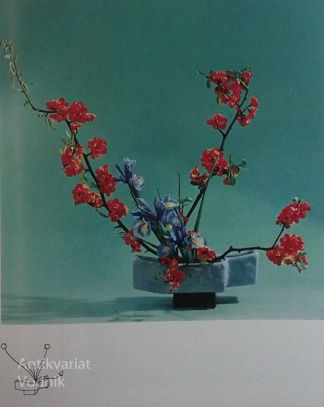 IKEBANA, umetnost aranžiranja cvetja, Klara F. Kos